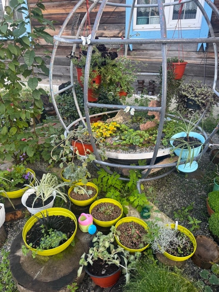 Продукты и цветы у Марины, фото 3
